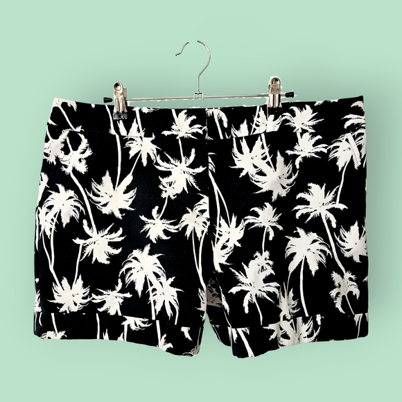 Apt. 9 Pants - Apt. 9 Black and White Palm Tree Print Shorts - Size 16